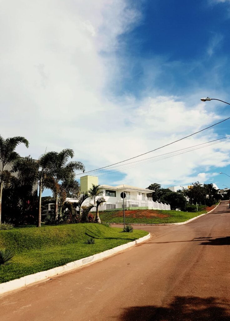 Quais são as melhores plantas para se ter em casa